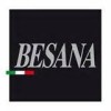 Besana logo