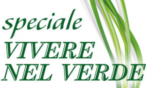 speciale_verde_14