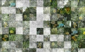 Wallpaper206_Rousseau-standard-thumb-800x490