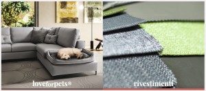 00 LeComfort pets
